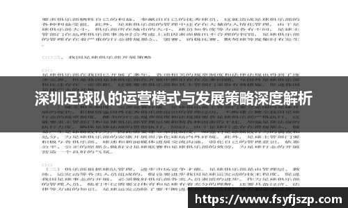 深圳足球队的运营模式与发展策略深度解析