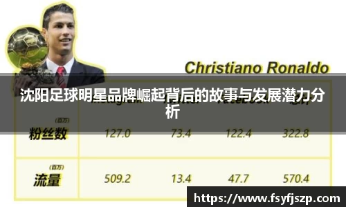 沈阳足球明星品牌崛起背后的故事与发展潜力分析